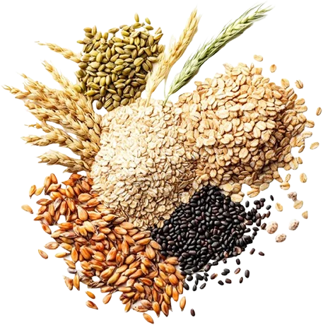 cereali vari per produzione di farine